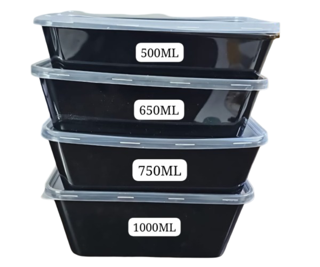 Rectangular Plastic Container