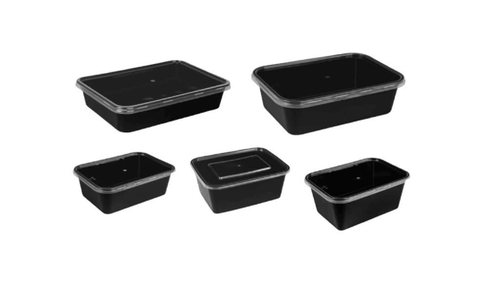 Rectangular Plastic Container