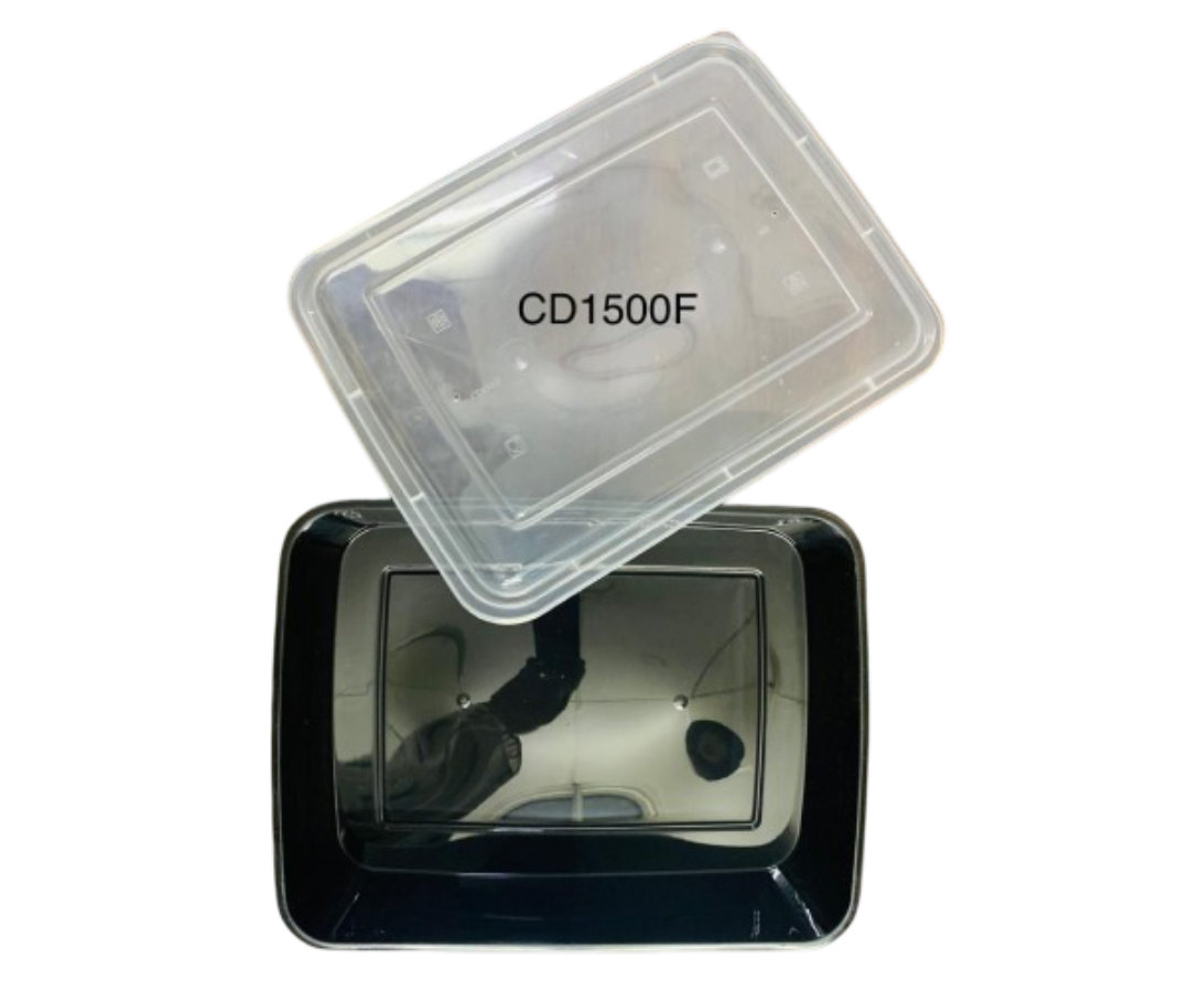 Rectangular Plastic Container