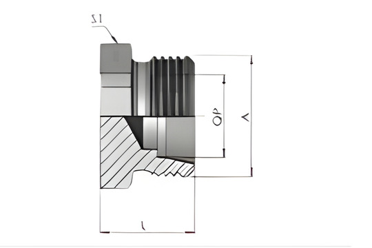 ROV-Blanking plug for tube ends