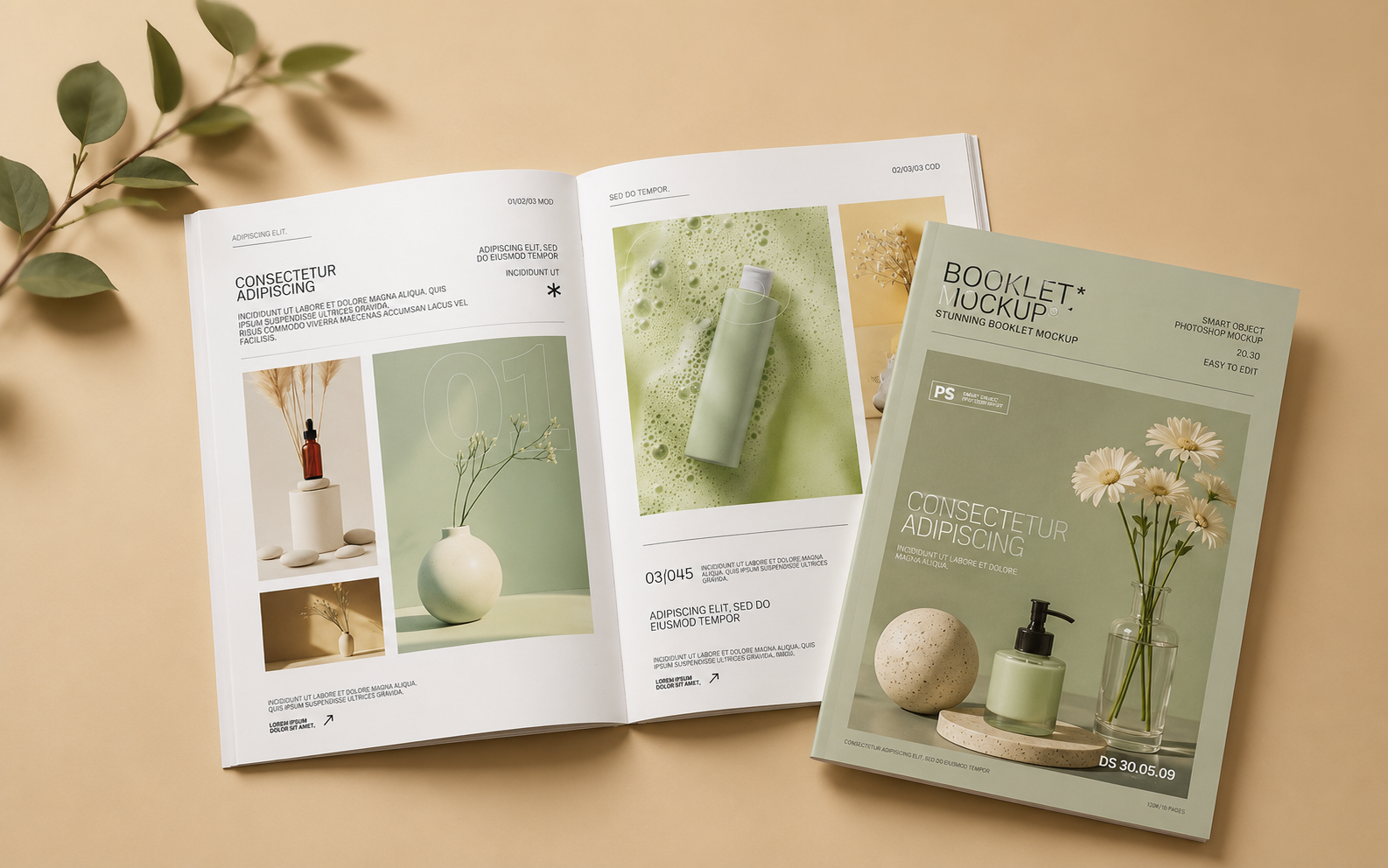 Saddle Stitch Booklets