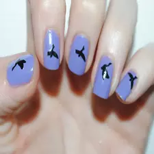 Nail Arts