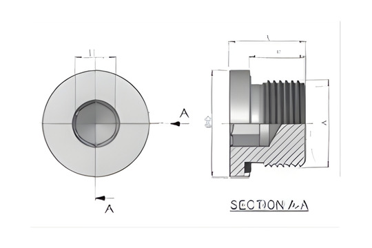 VSTI-R-Blanking plug for ports Male BSPP thread