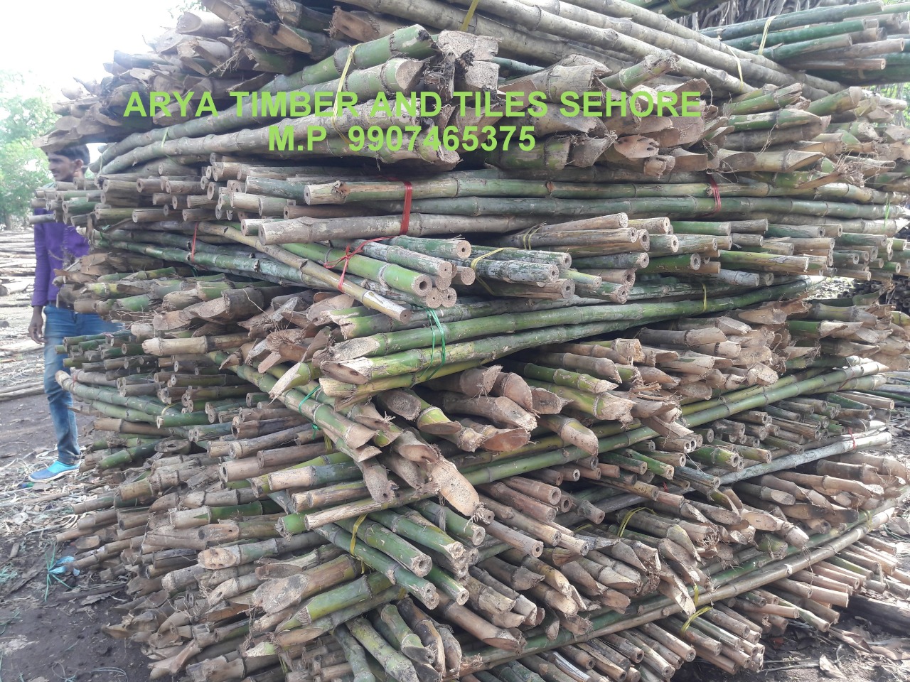 Desi Hard Bamboo Waywalk Plank