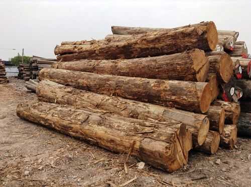 /ProductImg/Burma-Teak-Round-Logs.jpg