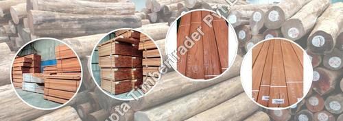 /ProductImg/Golden-Teak-Wood.jpg