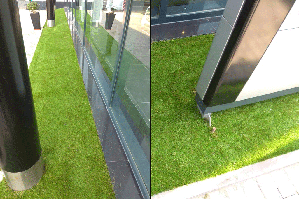 Artificial Grass