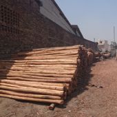 Wooden Ballies manufacturer in New Delhi