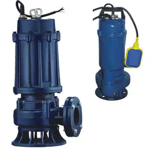 Cast Iron Sewage Souble Channel Pump