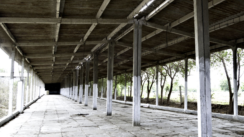 SHEDS FOR POULTRY & CATTLE FARM