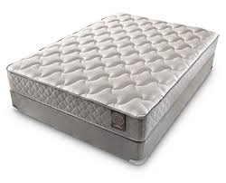 Sleepwell Mattresses