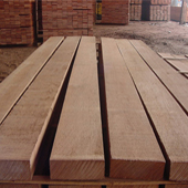 Red Meranti wood Manufacturer in New delhi