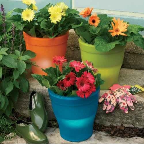 Dry planters