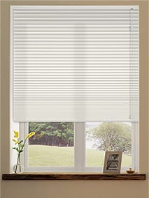 Pleated Blinds