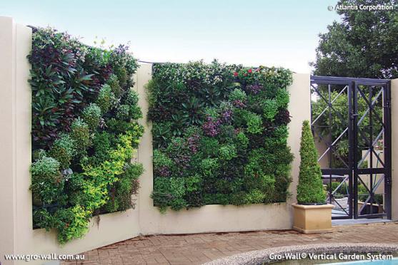 Vertical Garden design