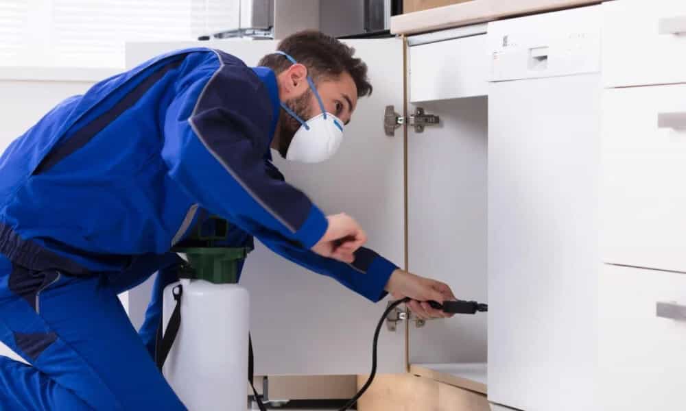 Best Pest Control Services in Delhi NCR