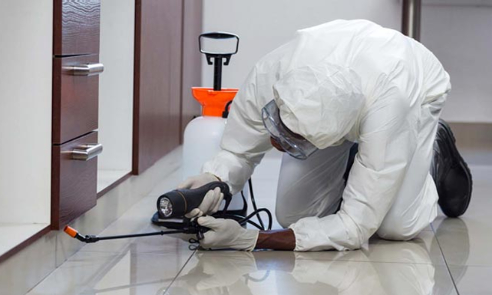 Residential Pest Control in Delhi NCR: Your Complete Guide