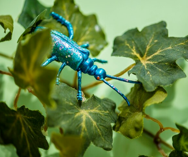 Herbal Pest Control