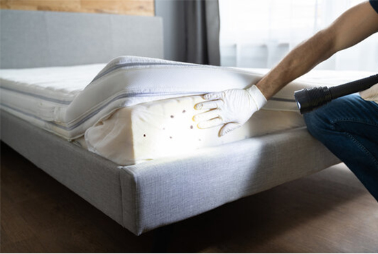 Bed Bug Shield Service