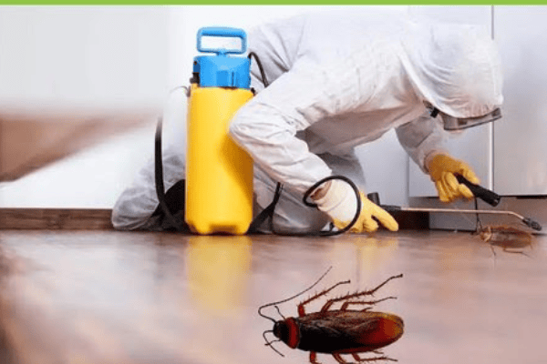 Cockroach Pest Control
