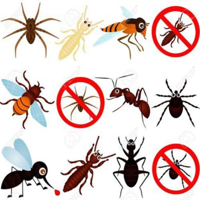 Insects Control