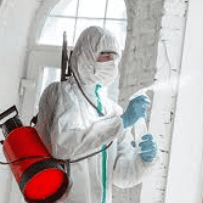 Sanitization And Disinfectant Services