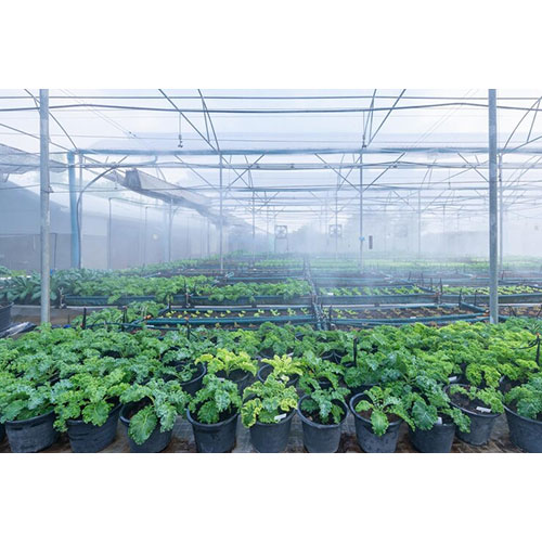 Misting system