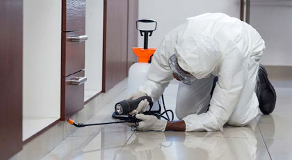 Kitchen Cleaning