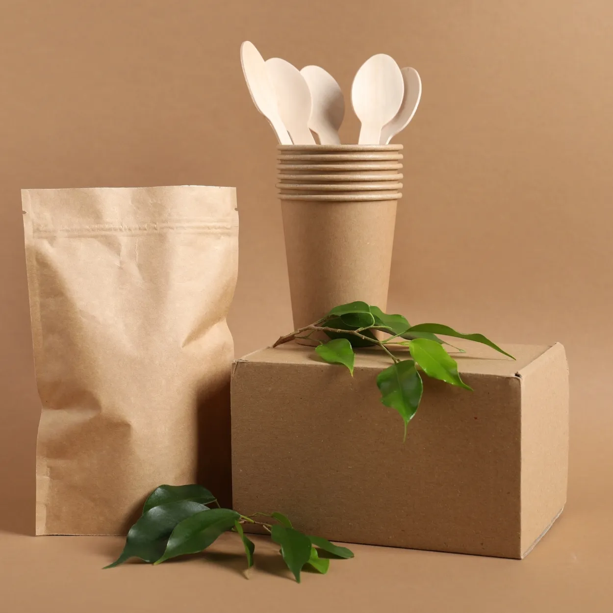 Biodegradable & Eco-Friendly Packaging