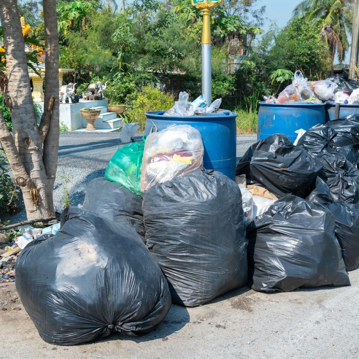 Biomedical Waste Drums & Bags
