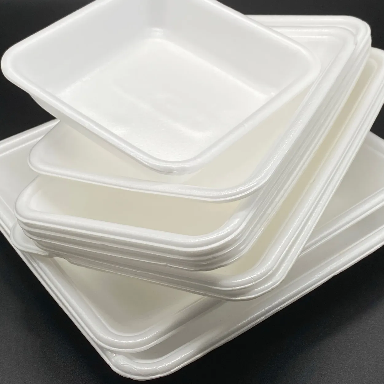 Disposable Food Trays & Containers