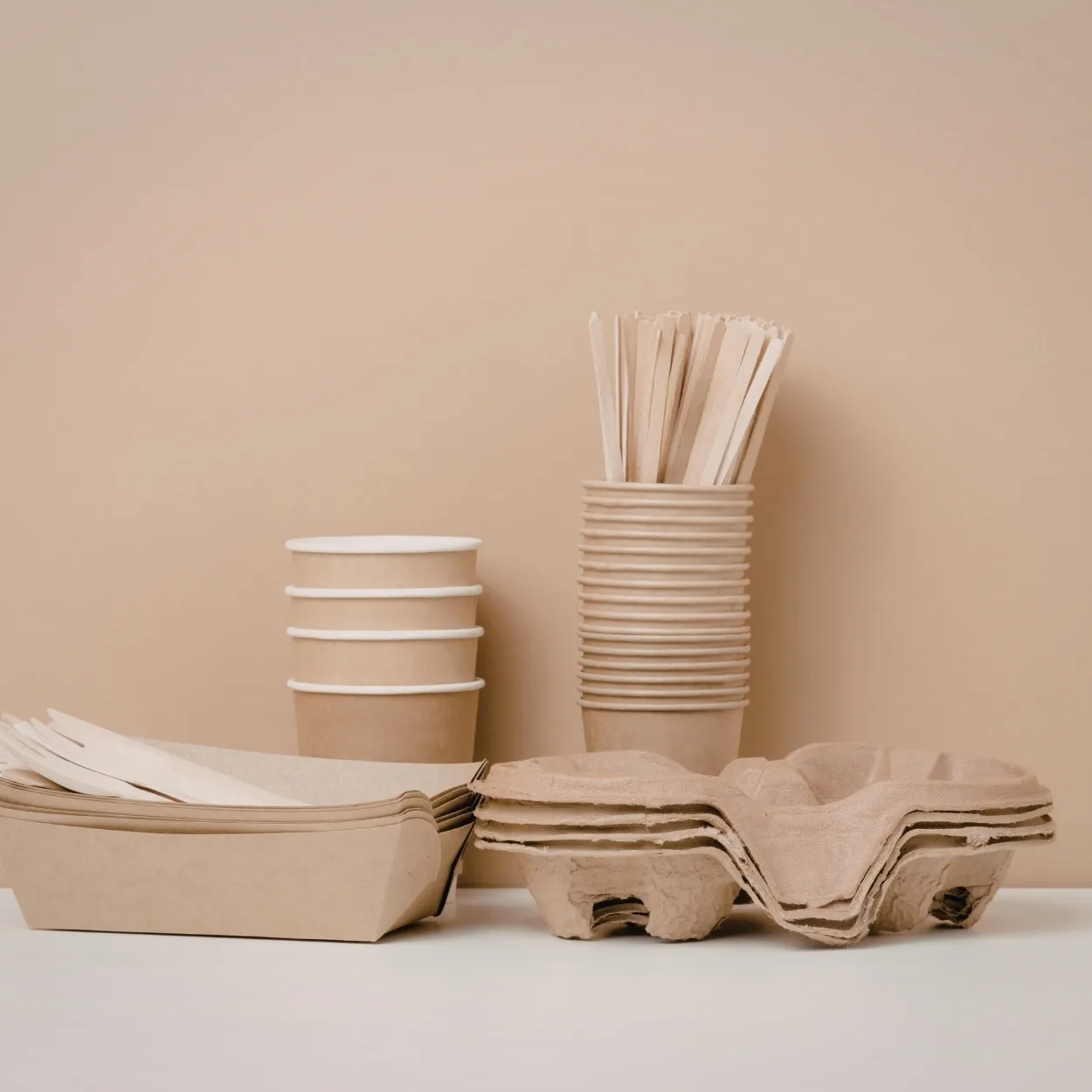 Disposable Plates & Bowls