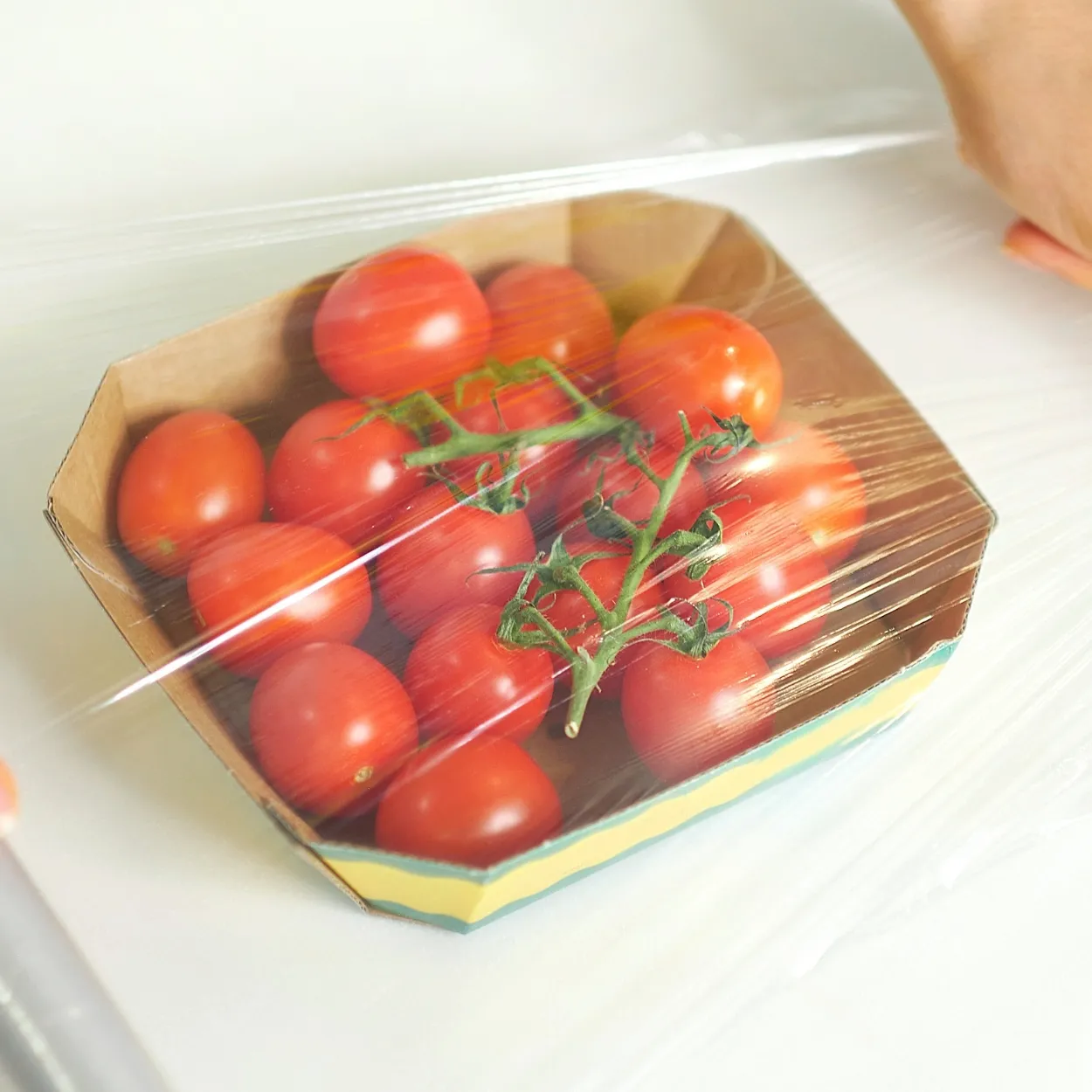 Food Packaging Films & Wraps