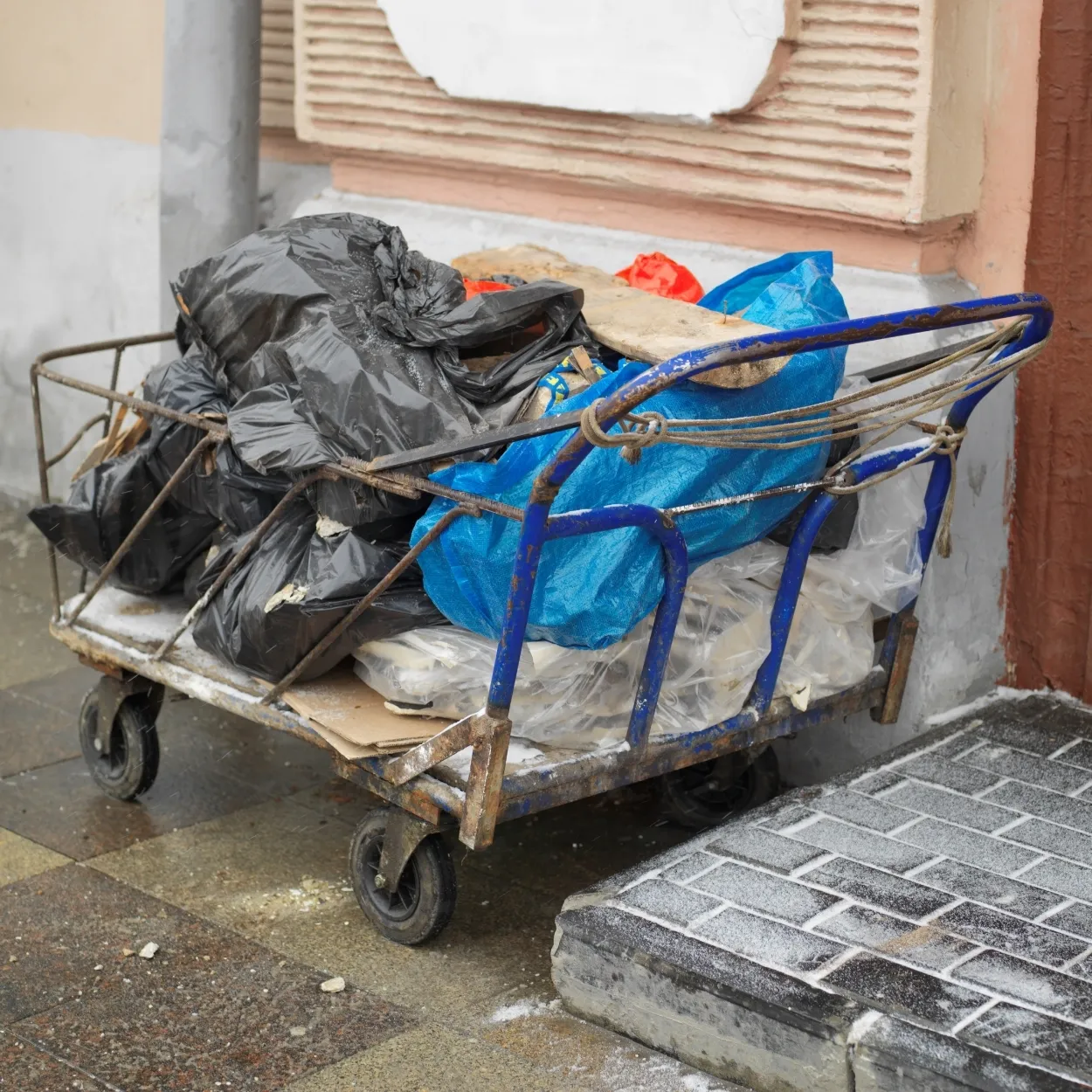 Medical Garbage Trolleys & Rickshaws