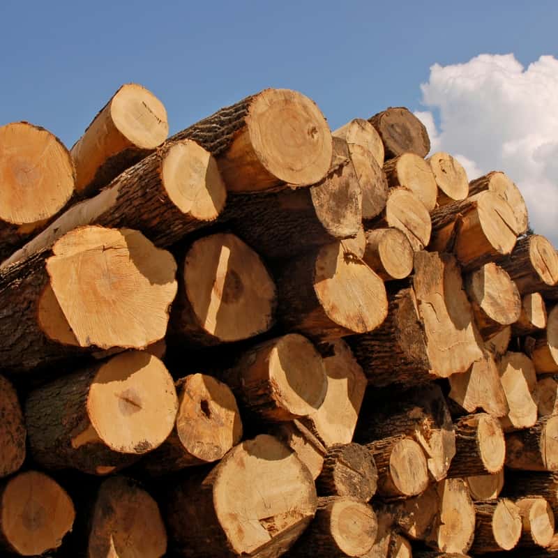 Timber