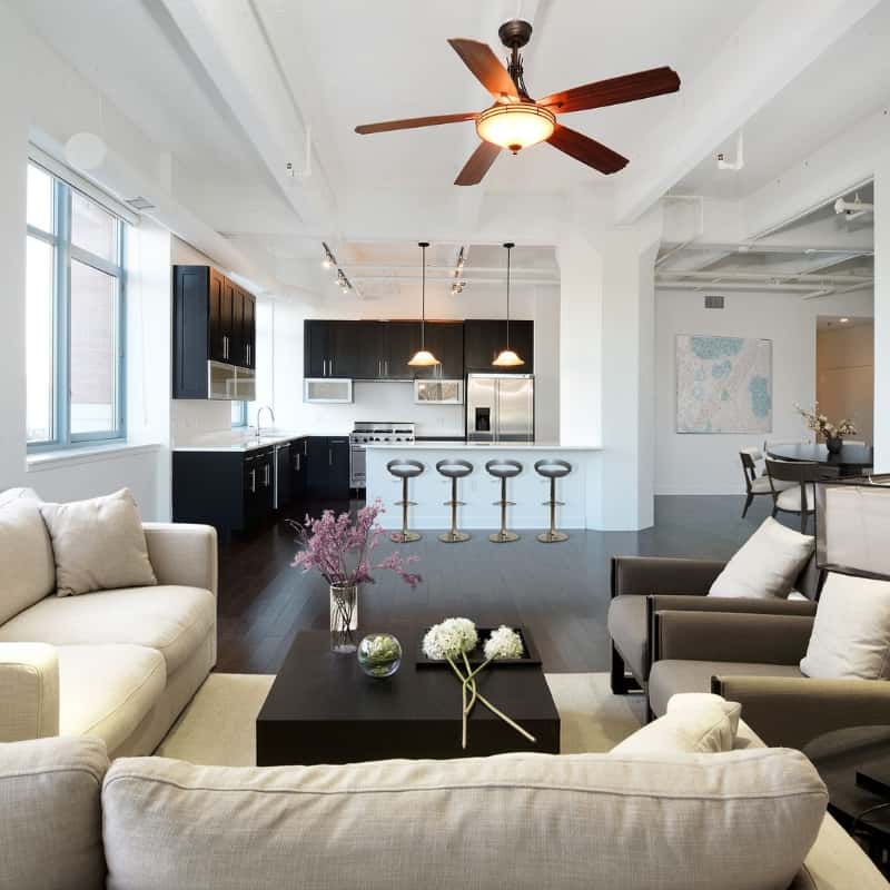 Architect and Interior