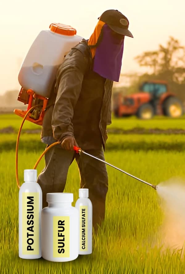 Agriculture