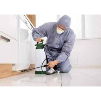 Residential Pest Control Service