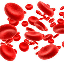 Anemia 