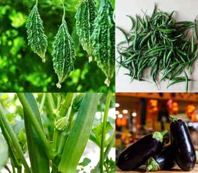 Agro Commodities