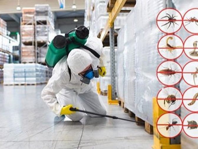 Commercial Pest Control Services