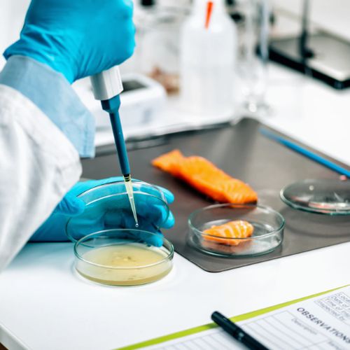 Food Lab