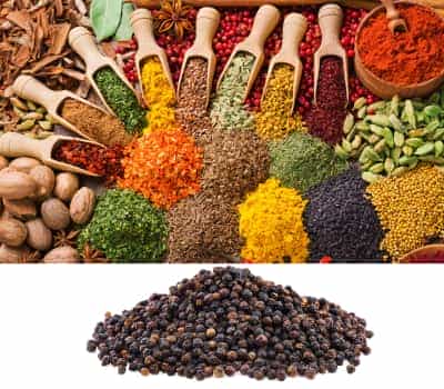 Spices and Wellness Ingredients