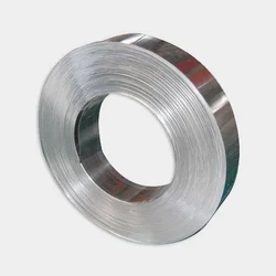 Stainless Steel Strips