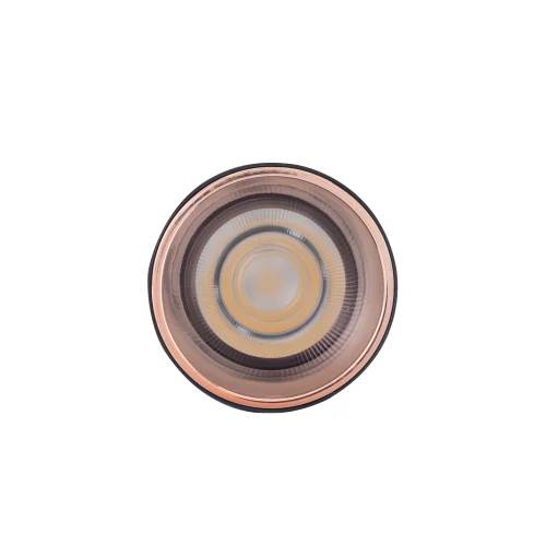 Surface Mounted Light