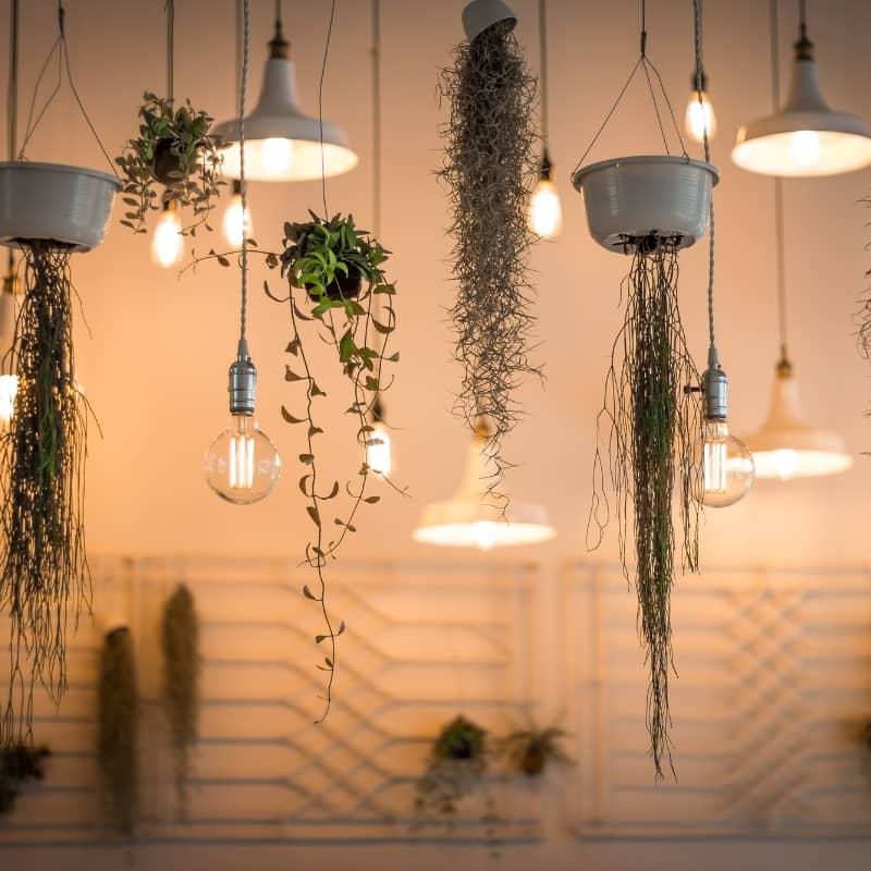 Lighting Decoration