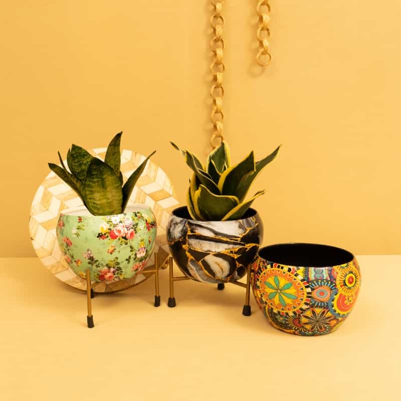 Planters