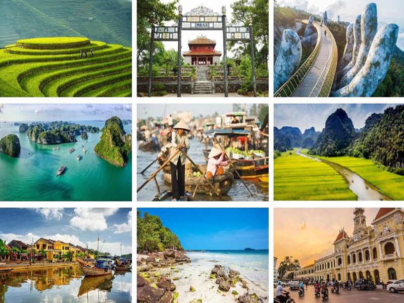 Tour Operators and Travel Agents