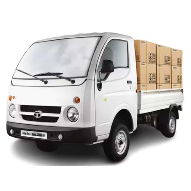 Transport Agents And Bulk Carriers