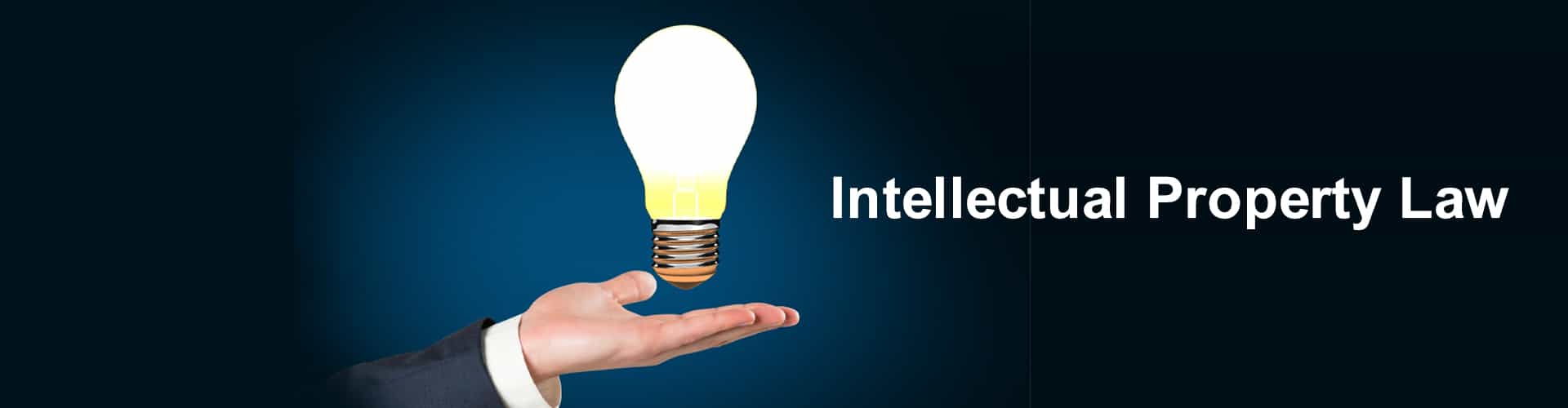 Intellectual Property Law